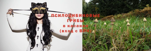 гидропоника Алексин